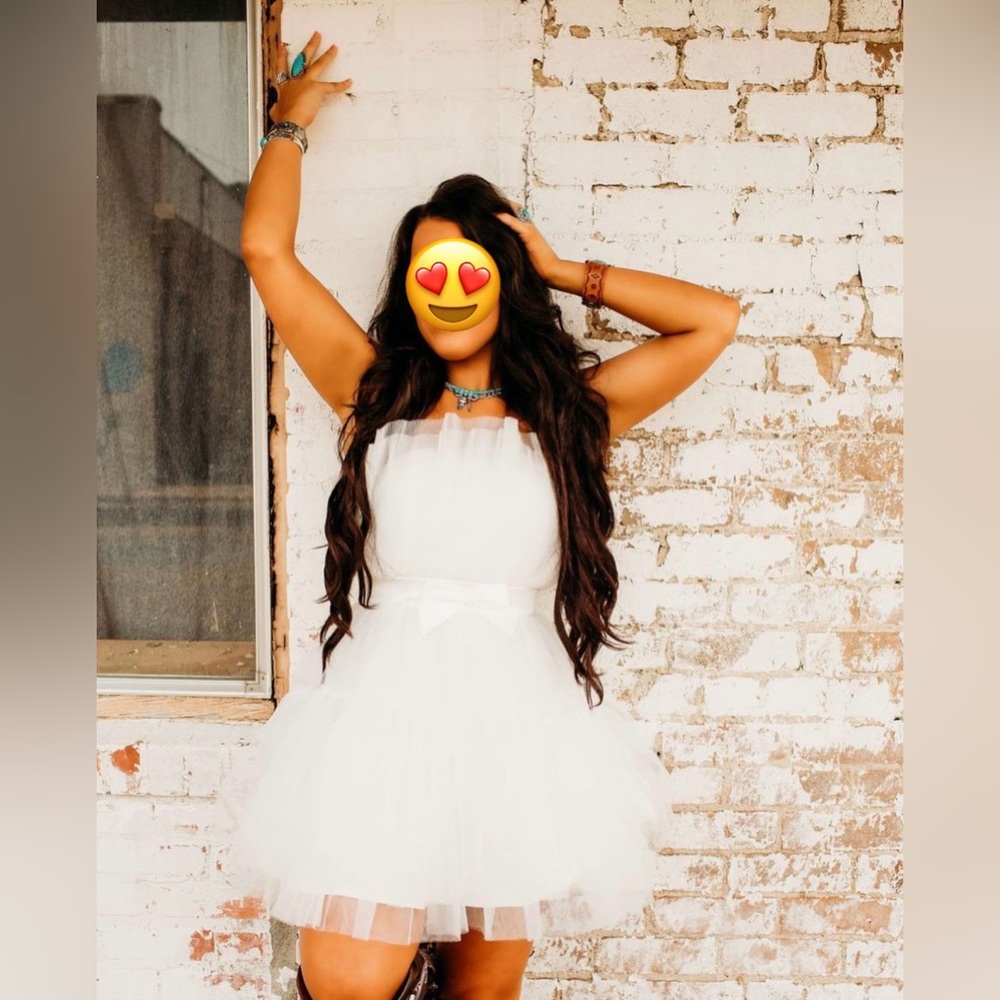 Tutu dress bought for Photo Shoot worn about 10 minutes.